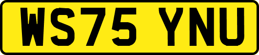 WS75YNU