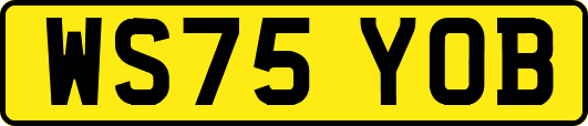 WS75YOB