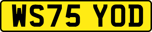 WS75YOD