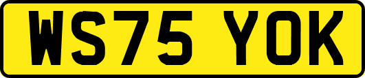WS75YOK