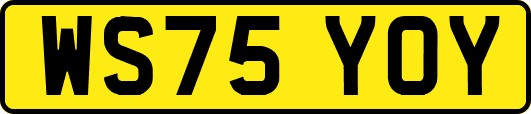WS75YOY