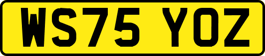 WS75YOZ