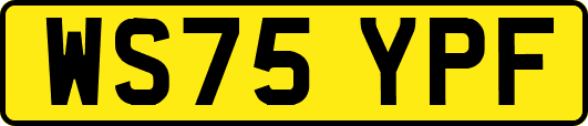 WS75YPF