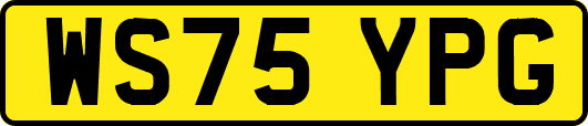 WS75YPG