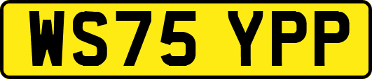 WS75YPP