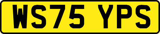 WS75YPS