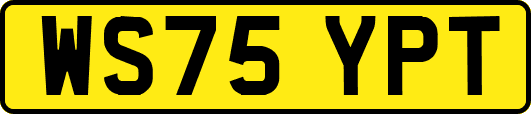 WS75YPT
