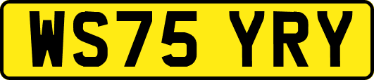 WS75YRY