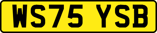 WS75YSB