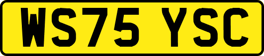 WS75YSC