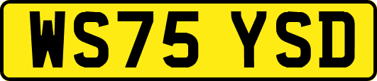 WS75YSD