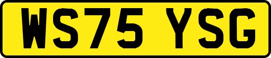 WS75YSG