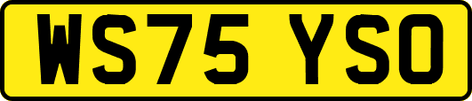 WS75YSO