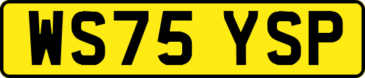 WS75YSP