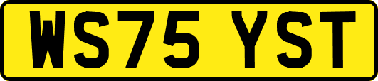 WS75YST