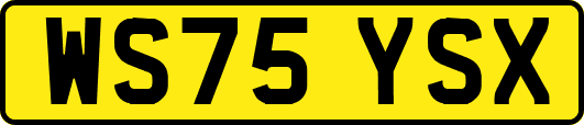 WS75YSX