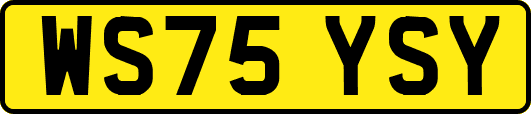 WS75YSY