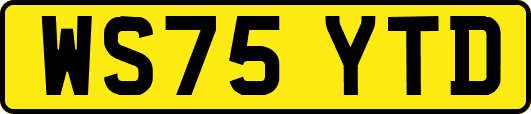 WS75YTD