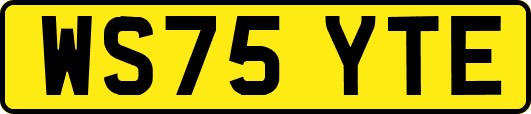 WS75YTE