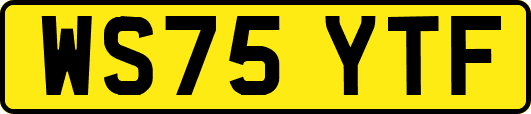 WS75YTF