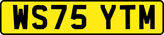 WS75YTM