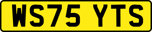 WS75YTS