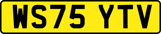 WS75YTV