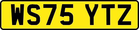 WS75YTZ