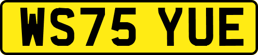 WS75YUE