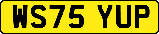 WS75YUP