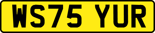 WS75YUR