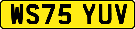 WS75YUV