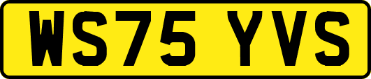 WS75YVS