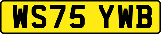 WS75YWB