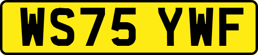 WS75YWF
