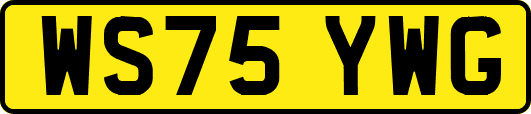 WS75YWG