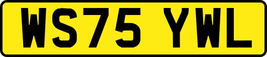 WS75YWL
