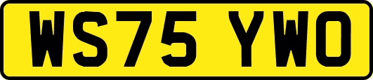 WS75YWO