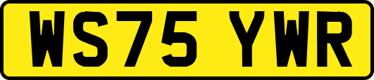 WS75YWR