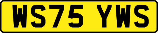 WS75YWS