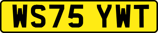 WS75YWT