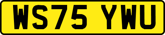 WS75YWU