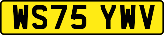 WS75YWV