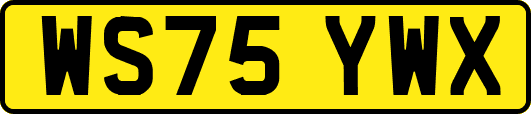 WS75YWX