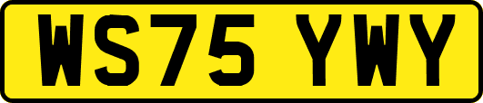 WS75YWY