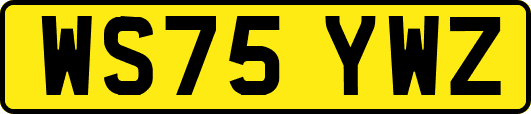 WS75YWZ