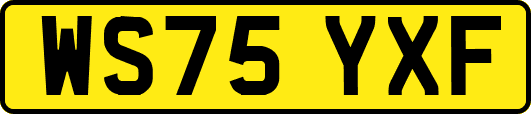 WS75YXF