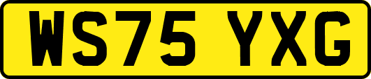 WS75YXG