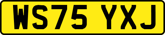 WS75YXJ