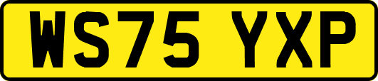 WS75YXP